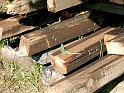 20100605 002